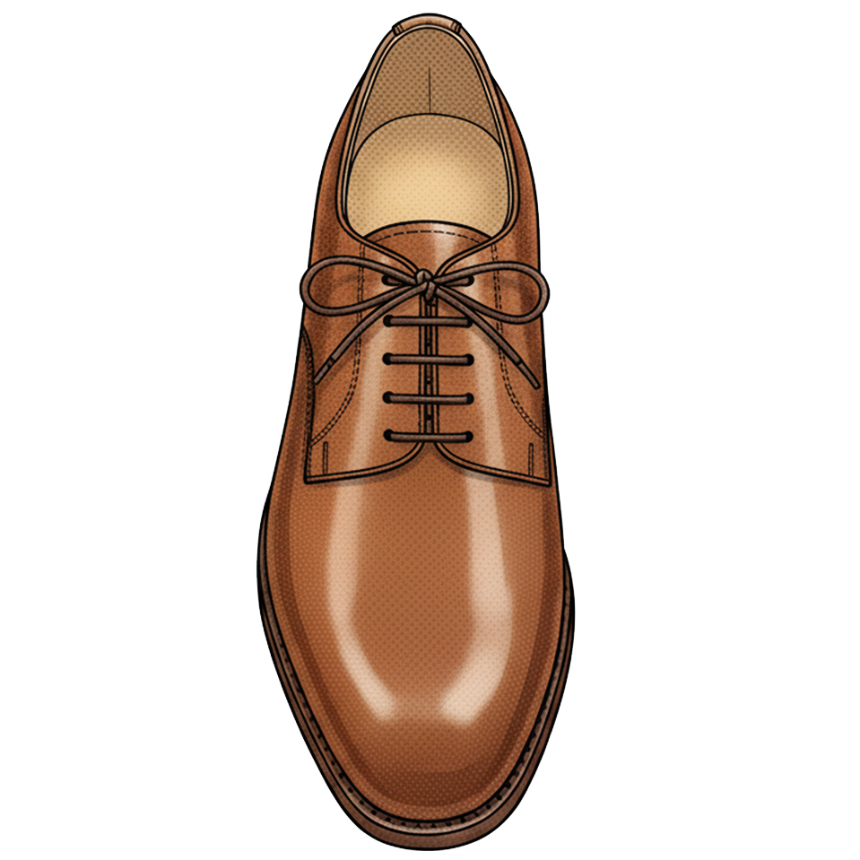 ダービー・ブラッチャー・外羽根の画像